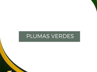 Plumas Verdes